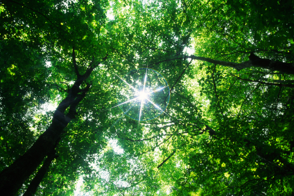 Channeling und Mediales Coaching