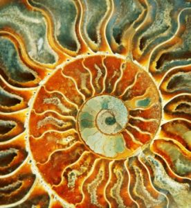 Reiki 3. Grad Meistergrad